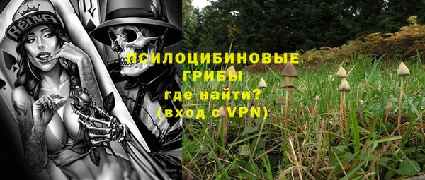 мдпв Арсеньев