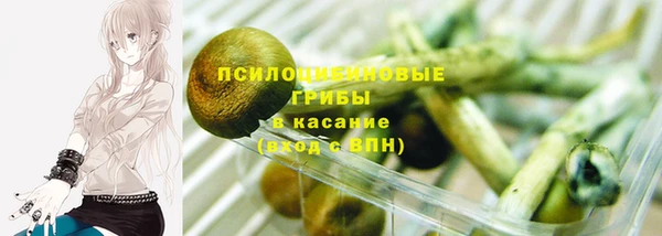 экстази Алексин
