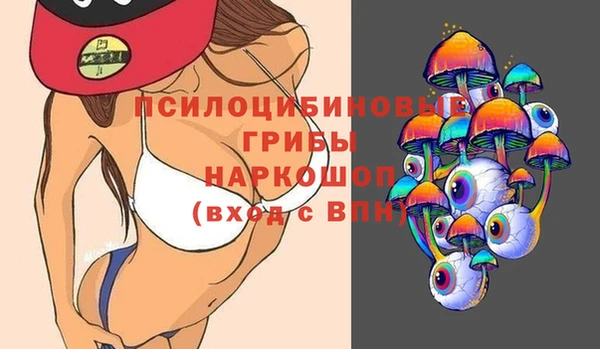 мдпв Арсеньев