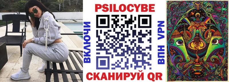 Псилоцибиновые грибы Psilocybine cubensis  blacksprut tor  Верхняя Салда 