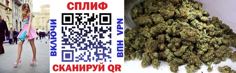 Шишки марихуана OG Kush  Верхняя Салда 